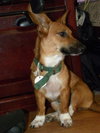 Roxie