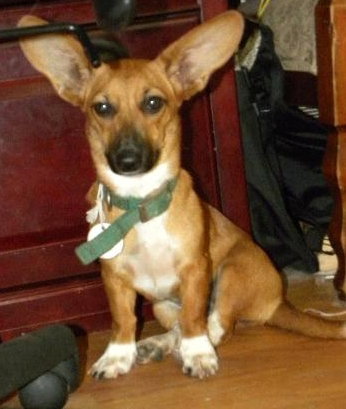 Roxie