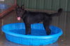 Azula - Sweeter then sugar!