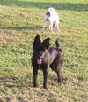Azula - Sweeter then sugar!