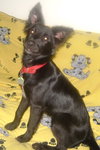 Azula - Sweeter then sugar!