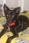 Azula - Sweeter then sugar!