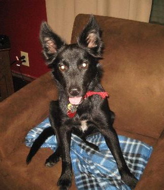 Azula - Sweeter then sugar!