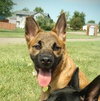 Dixie - I'm just a lil' pup :c)