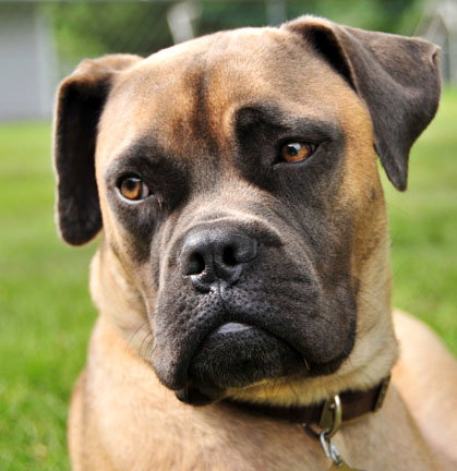 Duke