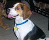 Oliver