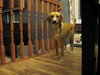 Charlotte