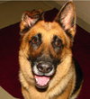 Cheyenne