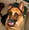 Cheyenne