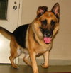 Cheyenne