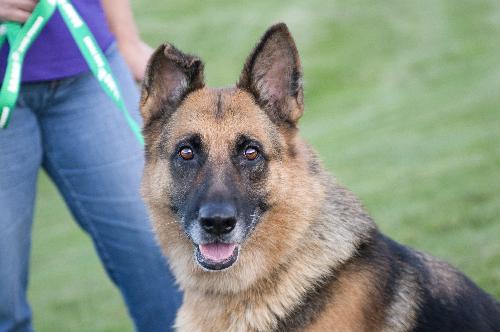 Cheyenne