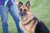 Cheyenne