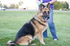 Cheyenne