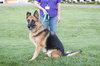 Cheyenne
