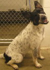 Tucker