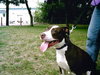 MISSY  