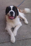 Ritter