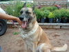 Trixy