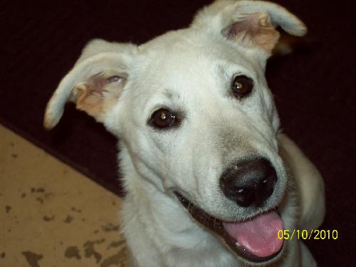 Libby