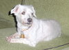 Coby