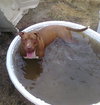Miss Hope