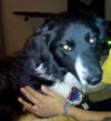 Zula