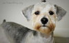 Romeo
