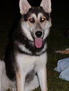 Heidi