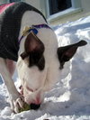 Gretta