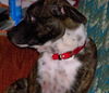 Jr