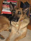 Bonnie