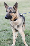Axel