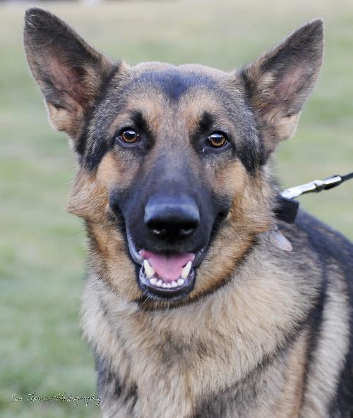 Axel
