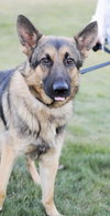 Axel