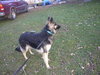 Sheeba - I'M BECOMING SO DEPRESSED!