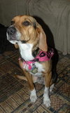 Betty