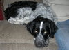 Duncan