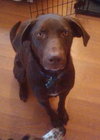 Billy