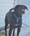 Billy