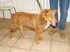 Suzanna