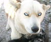 Fiona