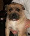 Benji