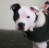 Capone
