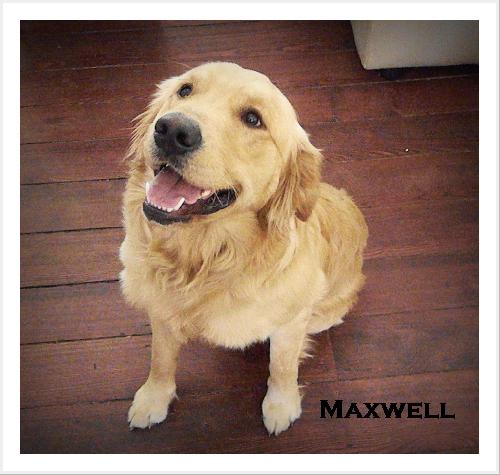 Maxwell