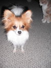 Luckee