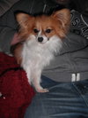 Luckee