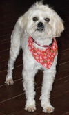 Barkley