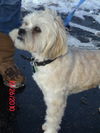 Barkley