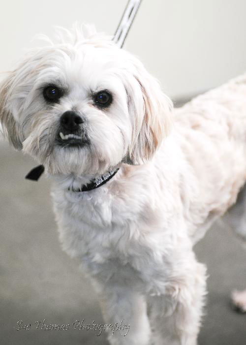 Barkley
