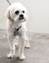 Barkley
